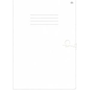Interdruk Briefcase A4+ white with lines (10 pcs)