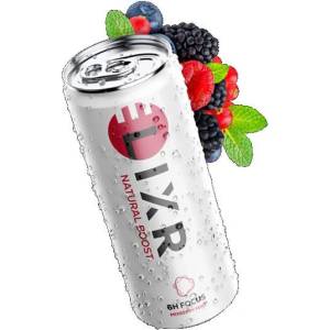ELIXR Горски Плод и Мента