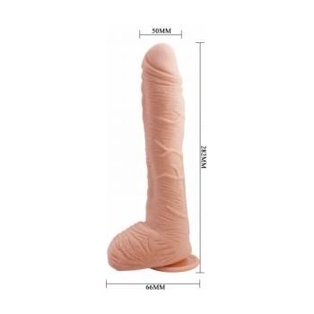 Boss of Toys Baile Alex Anatomical Model 27cm with Flexible Suction Base, Beige