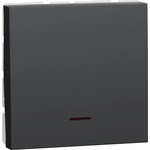 Schneider Electric SE Двуполюсен ключ 32А с индикатор 2 мод. цвят Антрацит Unica - NU323254S (NU323254S)
