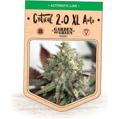 Garden Of Green Seedbank Critical 2.0 XL Auto semienka neobsahujú THC 15 ks
