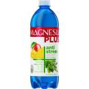 Magnesia Plus Boost 0,7 l