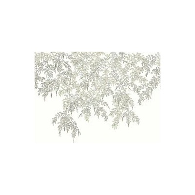 Caselio Vliesová fototapeta Art of Botany Lístie biela 200x235 cm