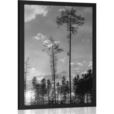 Plakát podvečer v lese v černobílém provedení - 20x30 black