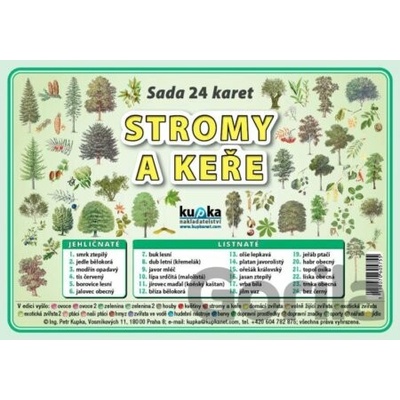 Sada 24 karet - stromy a keře - Petr Kupka