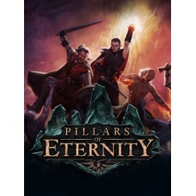 Pillars of Eternity (Hero Edition)