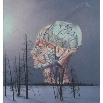 LOW - SONGS FOR A DEAD PILOT 1 LP