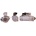 LCE-LRS02581