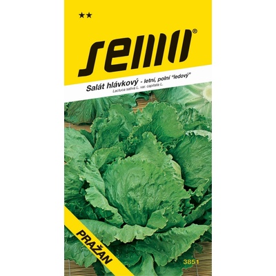 Semo Salát ledový - Pražan polní 0,6g