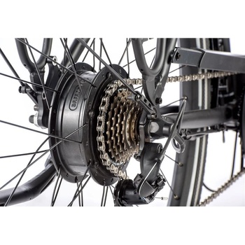 Leader Fox Park City 2022