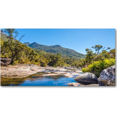 Foto obraz sklo tvrzené Rieka v lese 100x50 cm