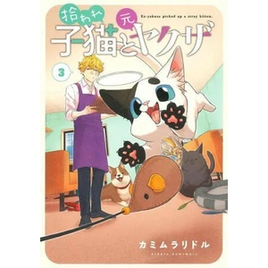 Ex-Yakuza and Stray Kitten Vol. 3 (ISBN: 9781685796235)
