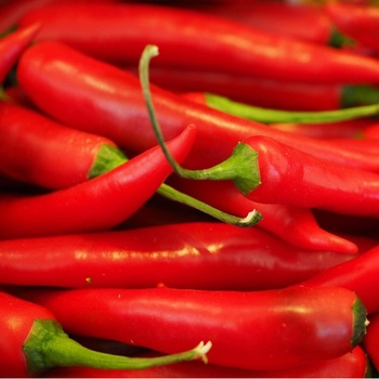 Chilli Aji Crystal - Capsicum baccatum - semená chilli - 7 ks