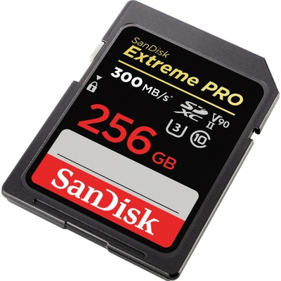 SanDisk SDXC UHS-II 256 GB SDSDXDK-256G-GN4IN