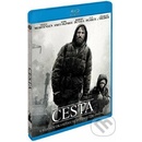 Cesta BD