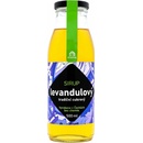 Hollunger Sirup levandulový Bio 0,5 l