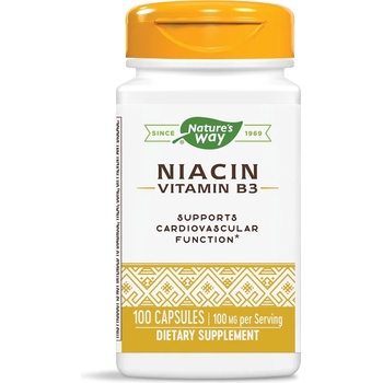 Nature's Way Niacin, 100 mg, 100 капсули, Nature's Way (40470)
