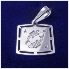 Klenotyn Strieborný prívesok znamenie ryby