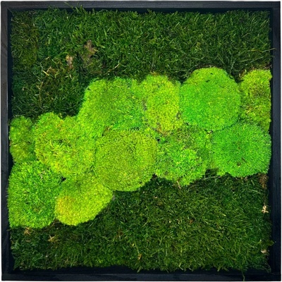 Machový obraz Quad Veľkosť: 40x40cm