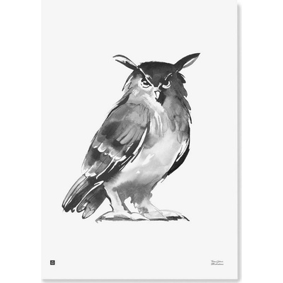 Plakát Eagle Owl 50x70