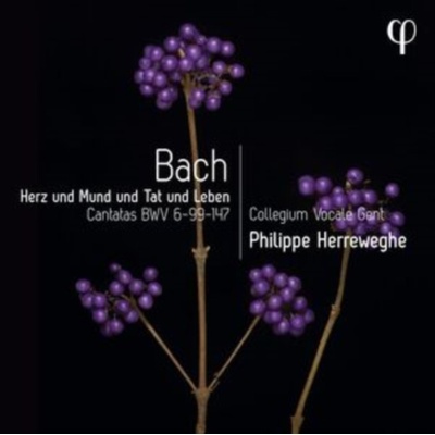 PHI COLLEGIUM VOCALE GENT PHILIPPE HERREWEGHE - Herz Und Mund Und Tat Und Leben - Bach - Cantatas Bwv 6-99-147 CD – Hledejceny.cz