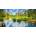 Castorland - Puzzle Yosemite Valley, USA - 4 000 piese