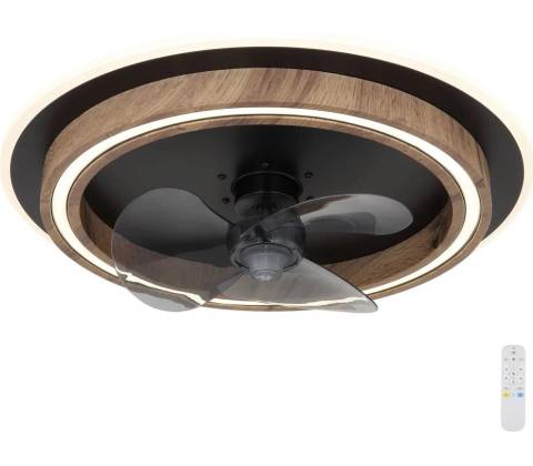 Globo 03655