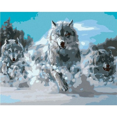 zuty Malování podle čísel Běžící vlci 50 x 40 cm vypnuté plátno na rám
