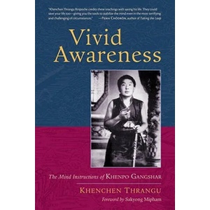 Vivid Awareness | Khenchen Thrangu (ISBN: 9781590308165)