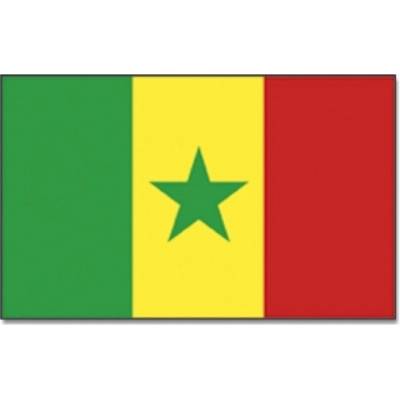 Vlajka Senegal 30 x 45 cm na tyčce