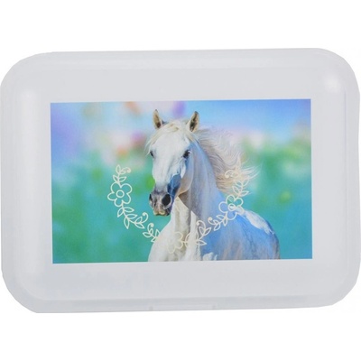 Karton P+P Horse/Kůň