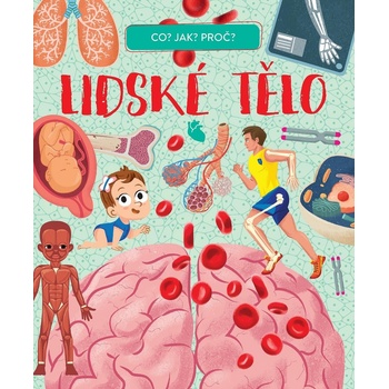 Lidské tělo