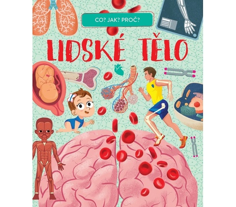 Lidské tělo