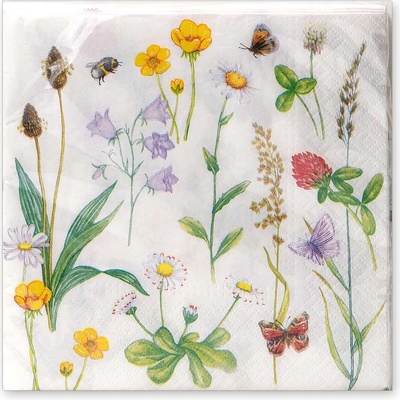 Argus Papírové ubrousky 33x33 cm 20ks 19035002