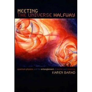 Meeting the Universe Halfway | Karen Barad (ISBN: 9780822339175)