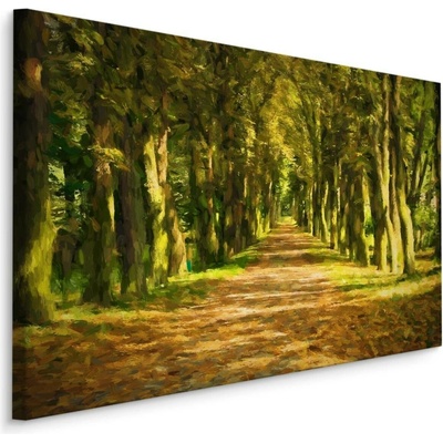 Plátno Cesta Uprostřed Lesa Varianta: 70x50