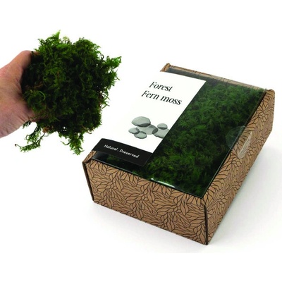 KreaBox - Papraďový mach - Fern moss