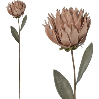KS PROTEA RUŽ/BÉŽ PENOVÁ 71CM