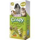 Versele-Laga Crispy Biscuits Vegetables 70 g