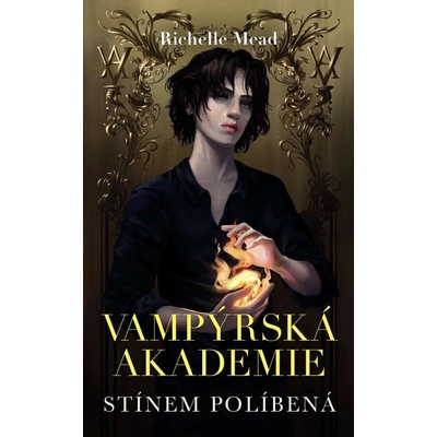 Vampýrská akademie 3 - Stínem políbená - Mead Richelle