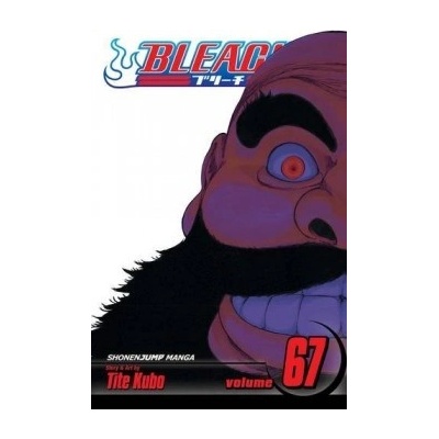 Bleach, Vol. 67 Tite Kubo