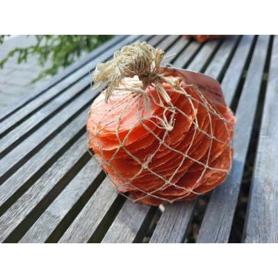 Dijk Natural Collection Mušle Capiz shell oranžová 250 g