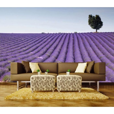 Dimex XL-190 vliesová fototapeta na zeď Lavender field rozměry 330 x 220 cm