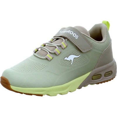 Kangaroos Kx Bases Ev