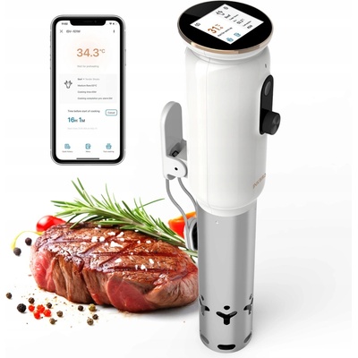 Inkbird WiFi ISV-101W