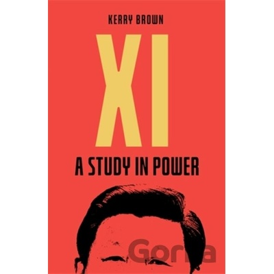Xi : A Study in Power - Kerry Brown