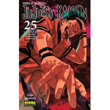 JUJUTSU KAISEN 25