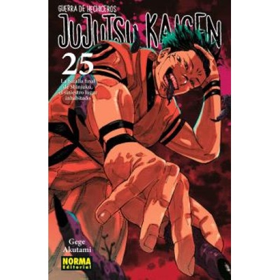 JUJUTSU KAISEN 25