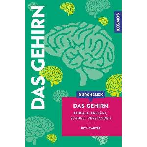 Durchblick Das Gehirn | Robert Brandt (ISBN: 9783440184851)