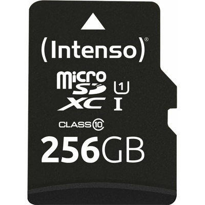 INTENSO SDXC Class10 256GB 3423492